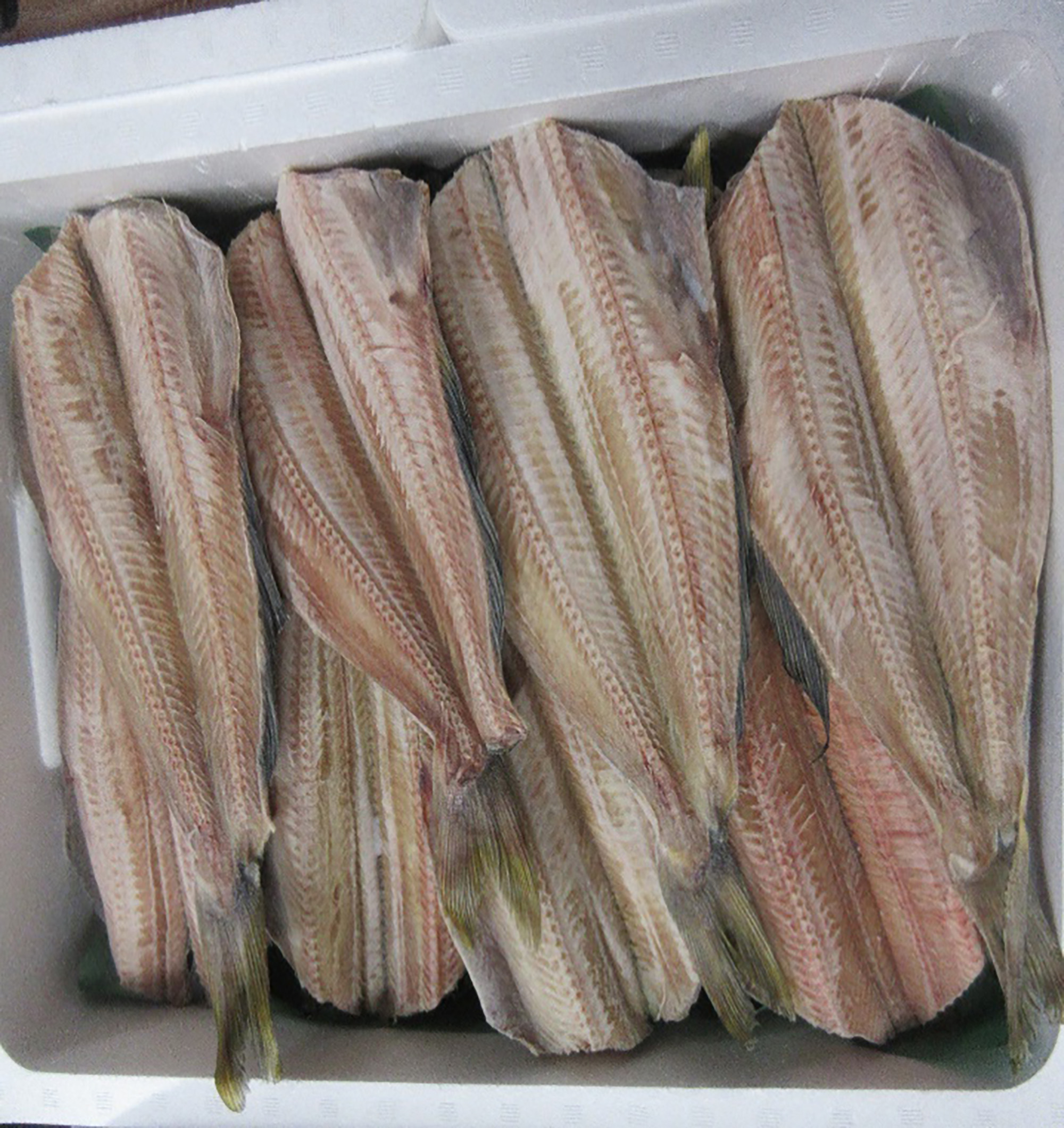 開き縞ホッケ