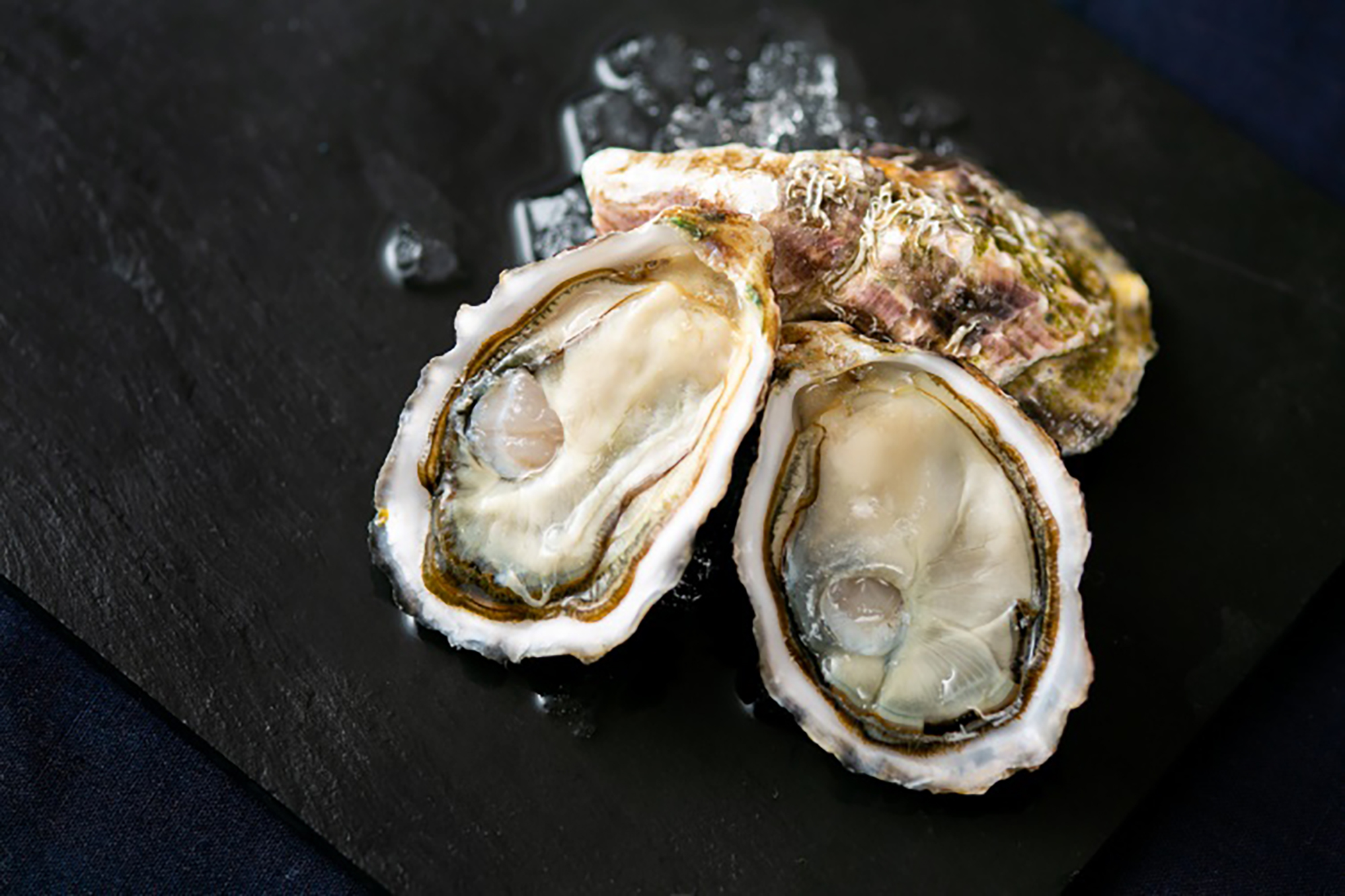 宮城県産　生食用シングルシード牡蠣