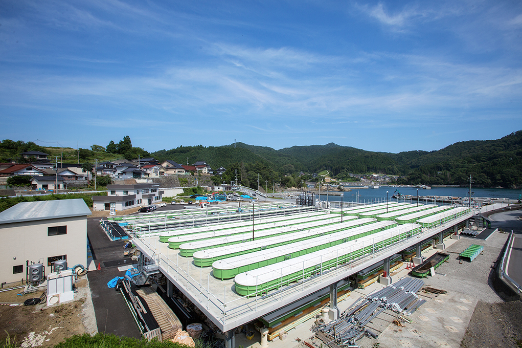 元正榮北日本水産株式会社
