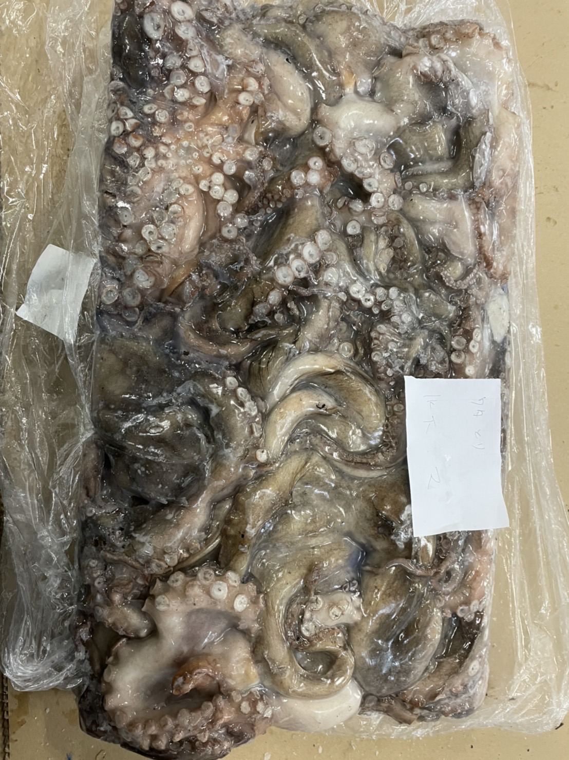 真蛸（冷凍原料）※ワタ抜き