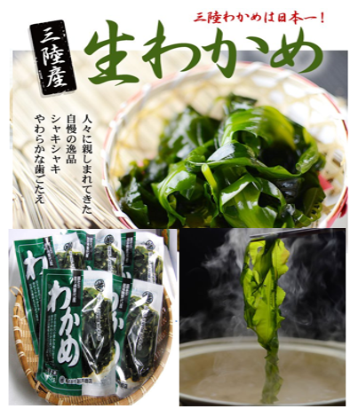 生わかめ＆冷凍塩蔵わかめ