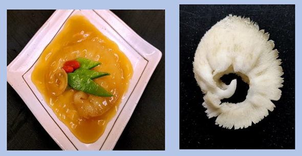 ふかひれ姿煮　腹10-14ｇ中華味