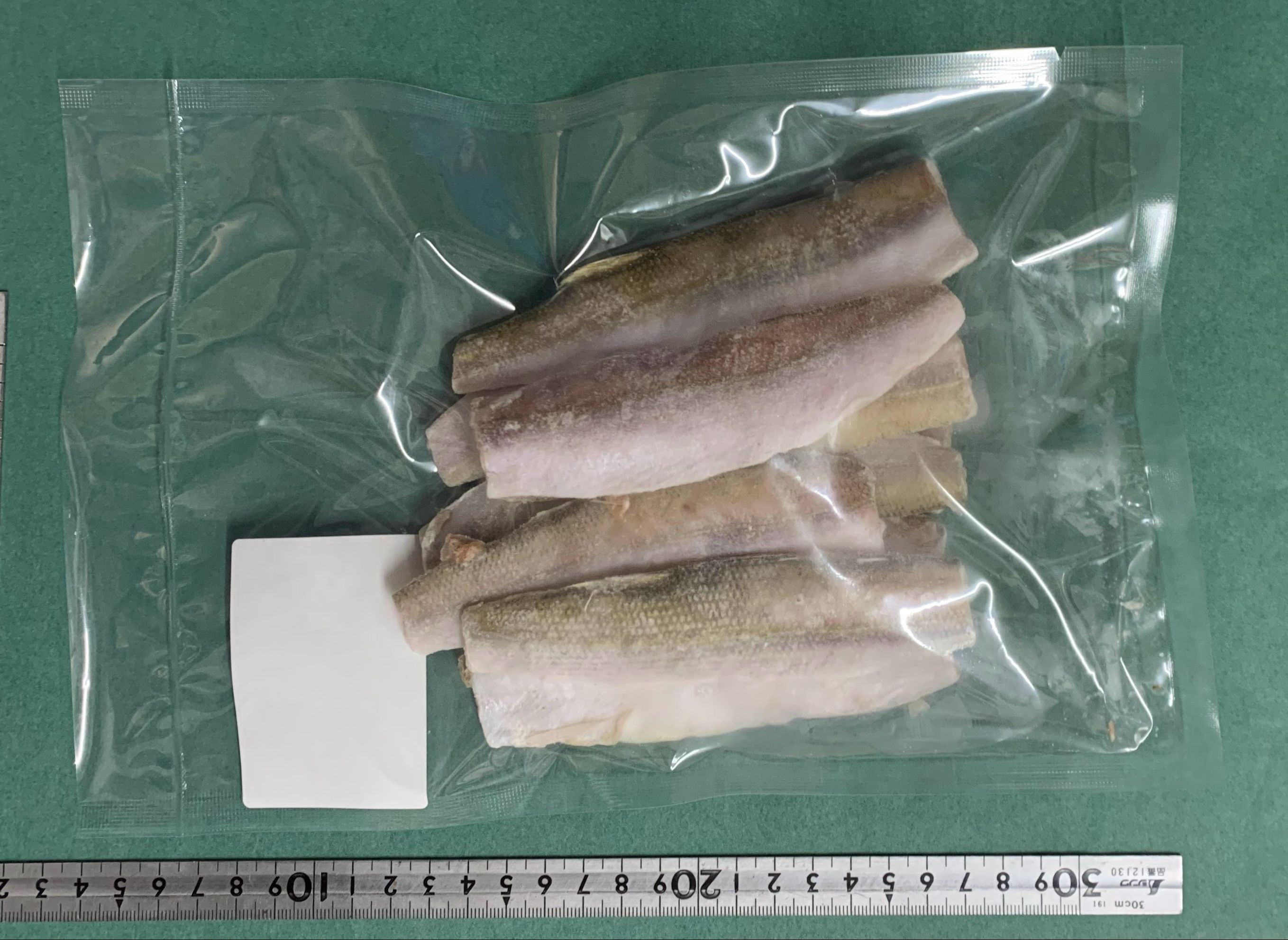 三陸産霜降りカマスフィーレ