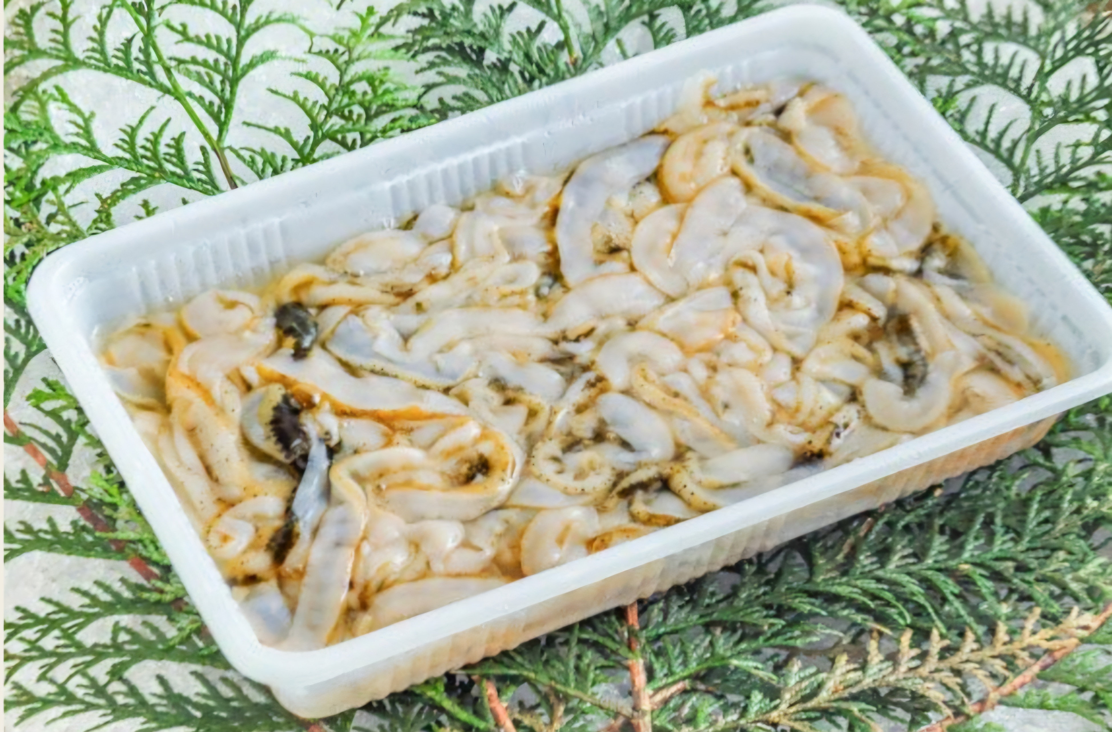 宮城県産　冷凍ほたて貝ヒモ　500g