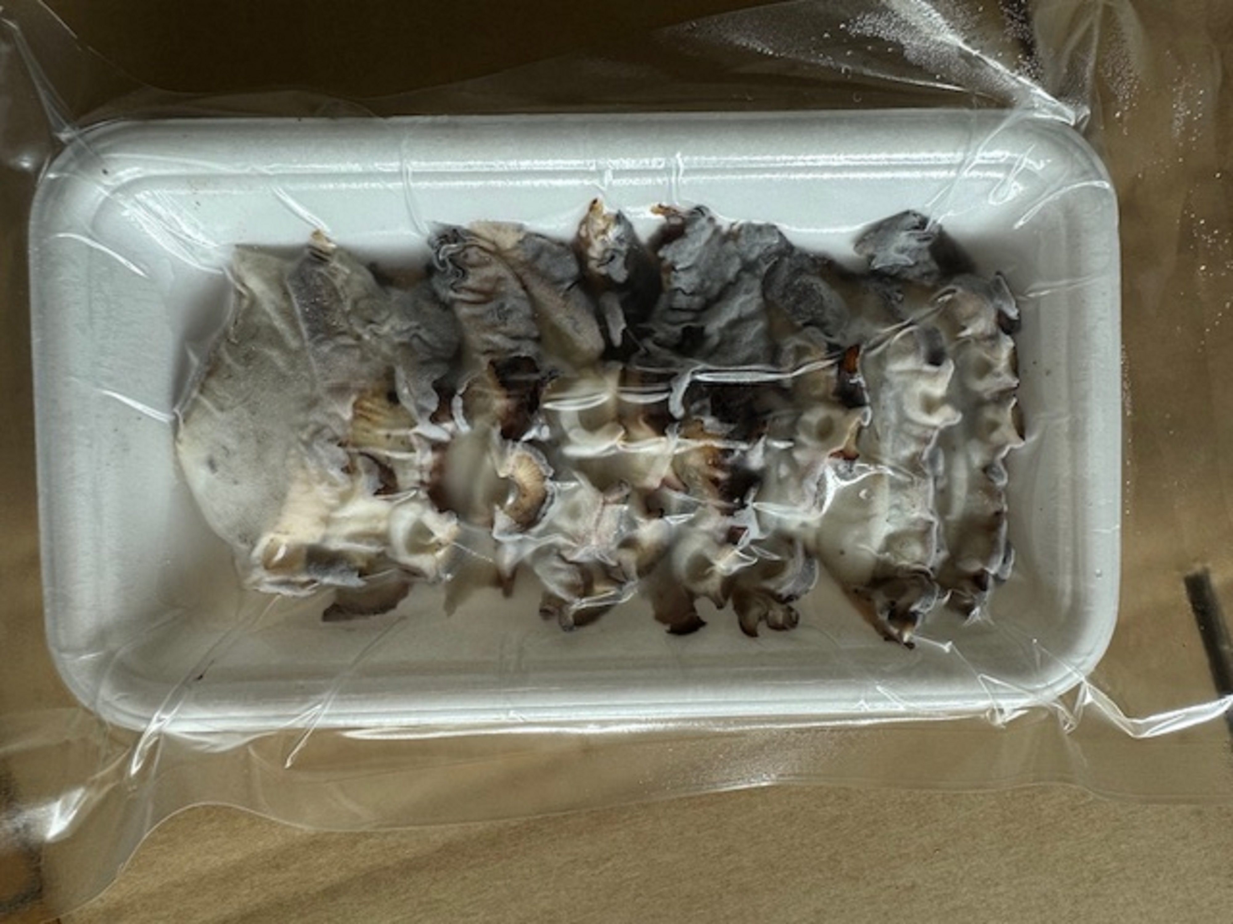 炙り活タコスライス8g10枚
