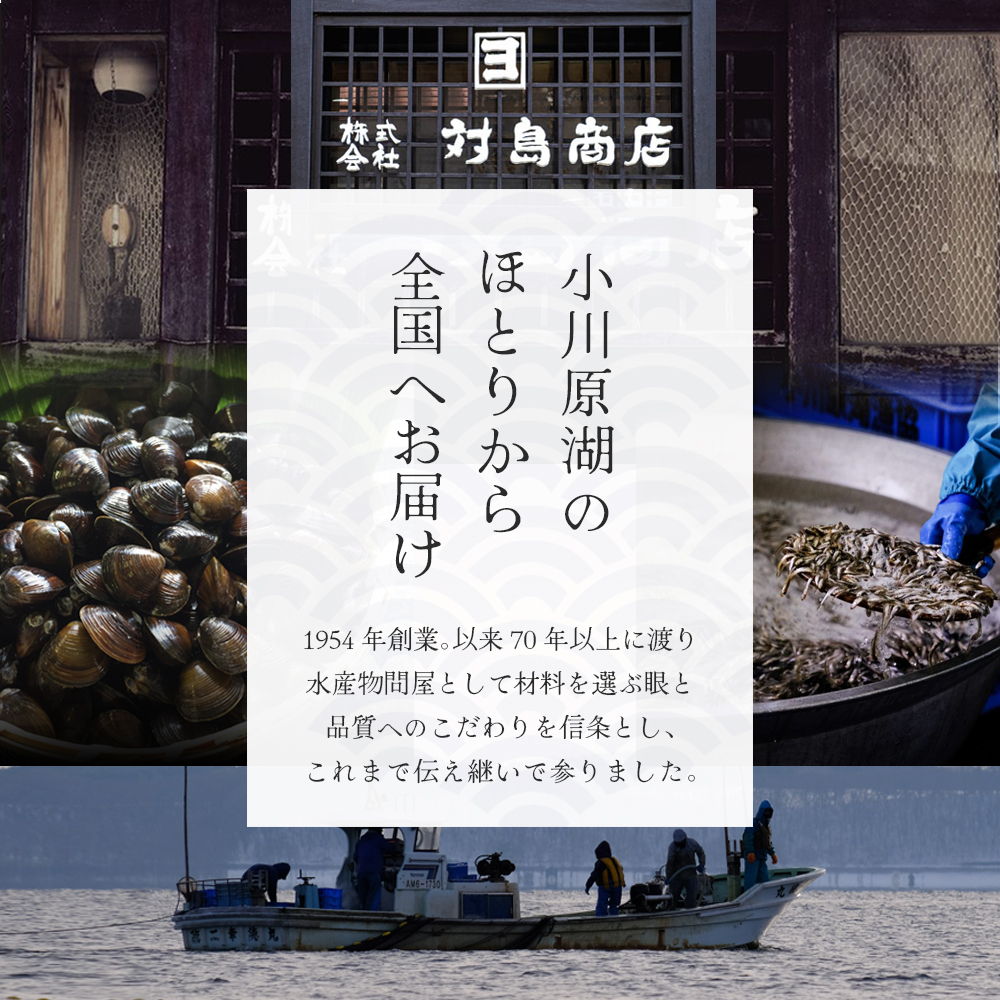 株式会社対島商店