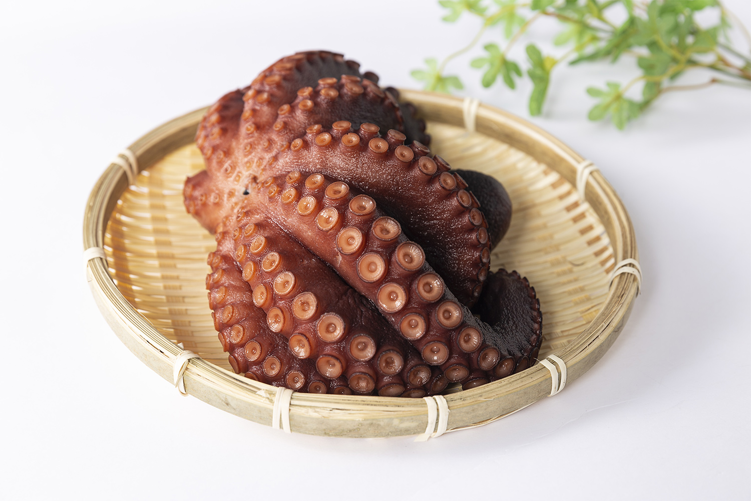 煮タコ