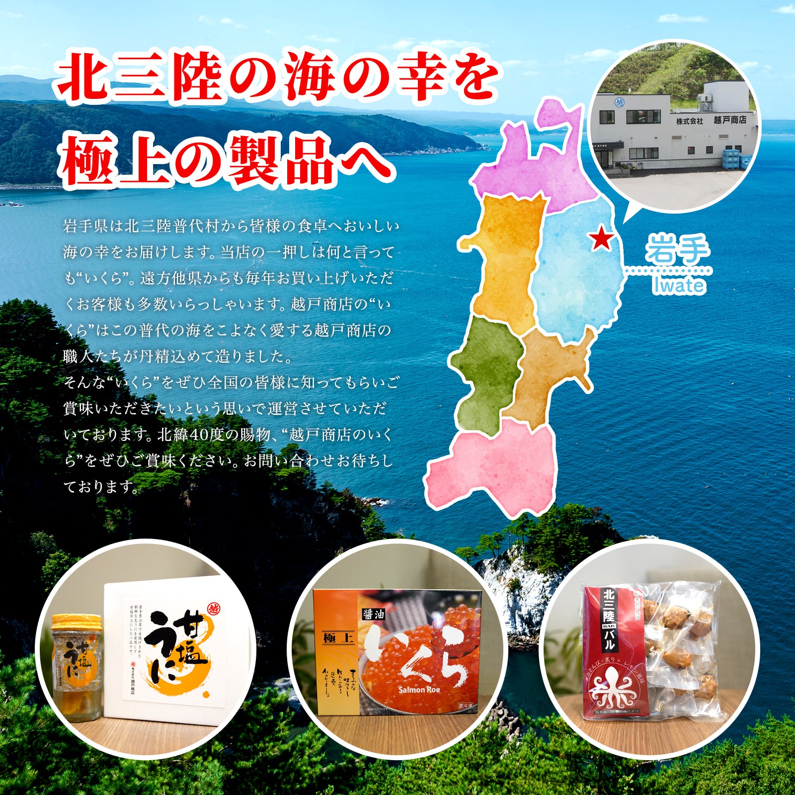 株式会社越戸商店