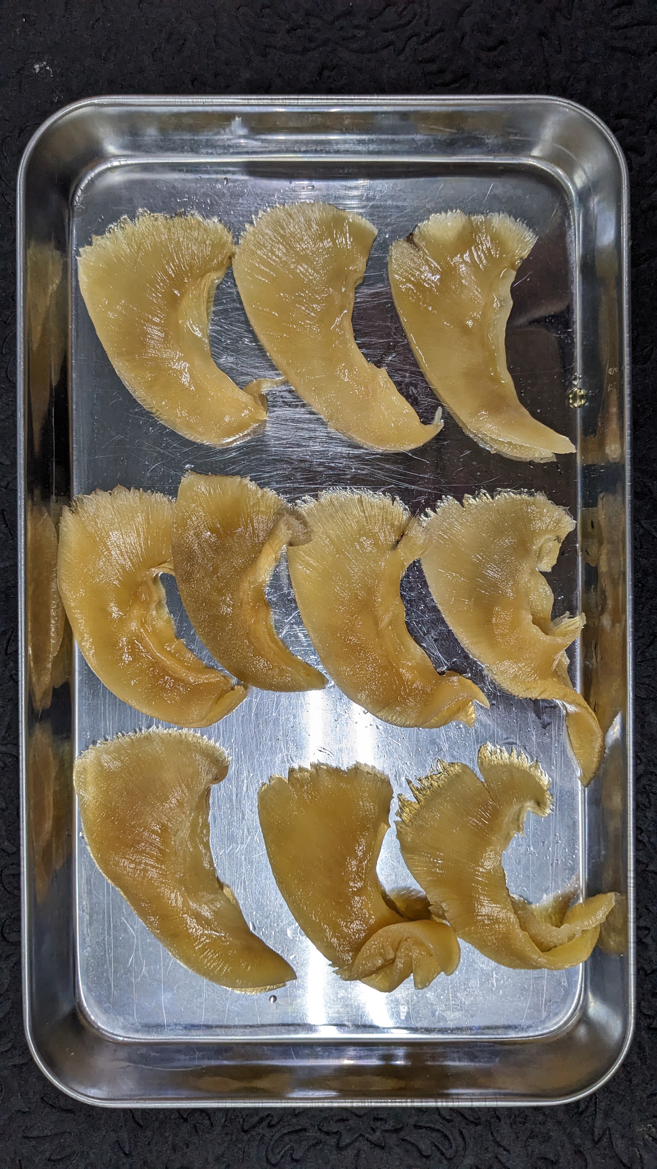 ふかひれ和風味