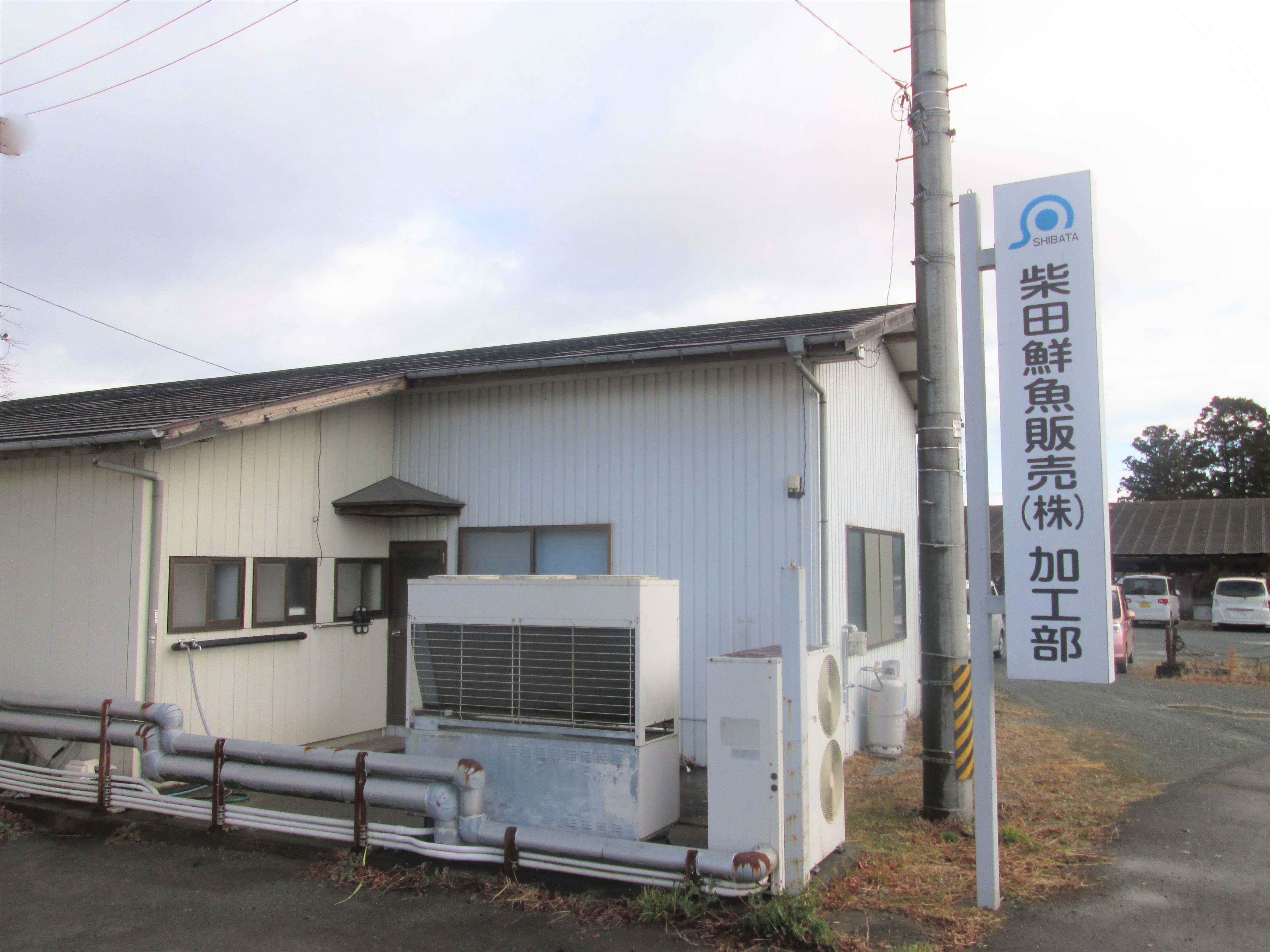 柴田鮮魚販売株式会社