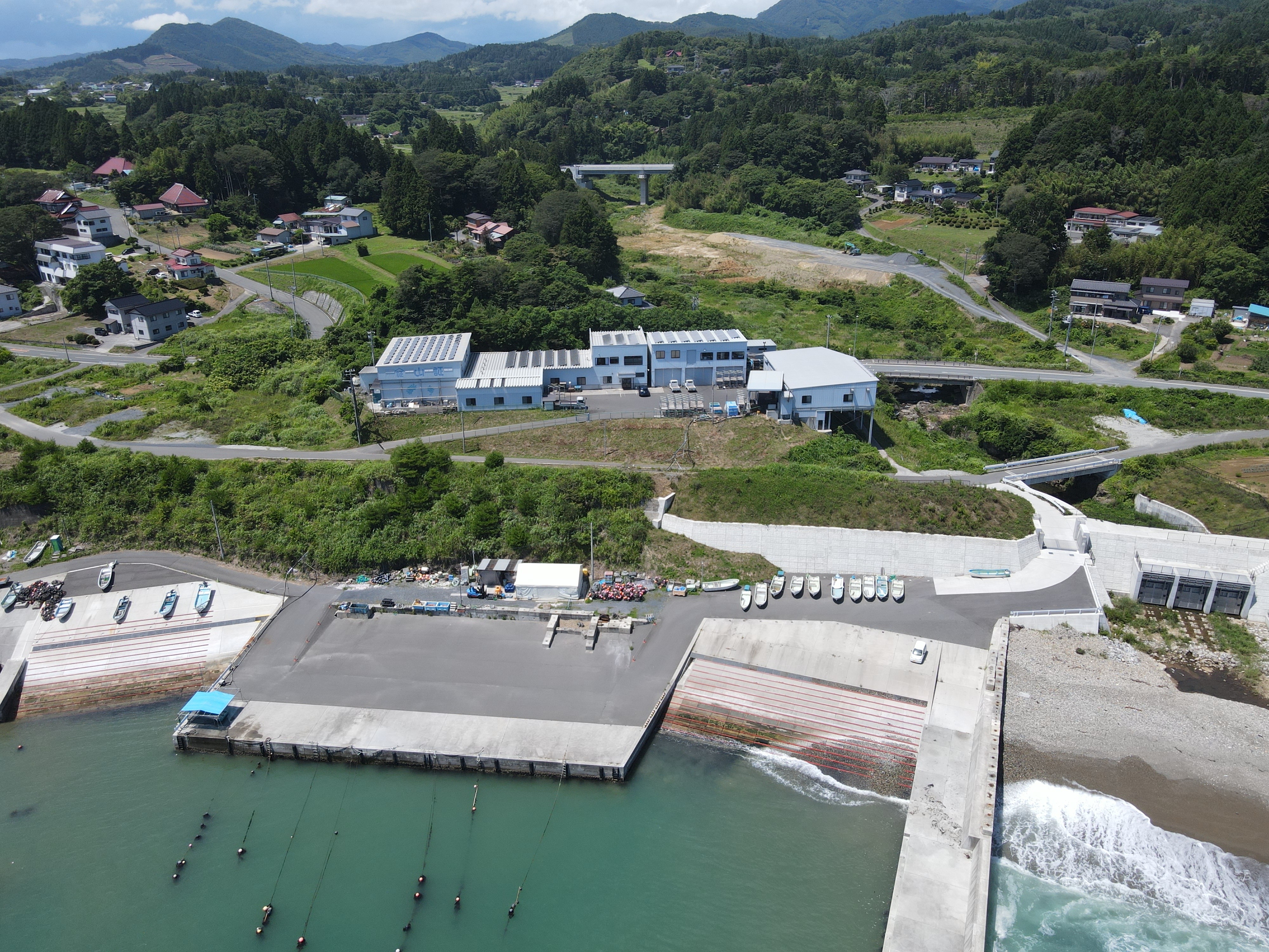有限会社山証